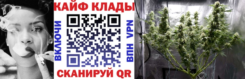 Что такое Кингисепп МЕТАДОН  Каннабис  Псилоцибиновые грибы  Мефедрон  ГАШИШ 