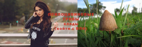 не бодяженный Абаза