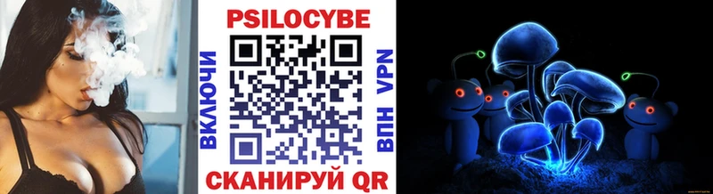 купить закладку Кингисепп Галлюциногенные грибы Cubensis